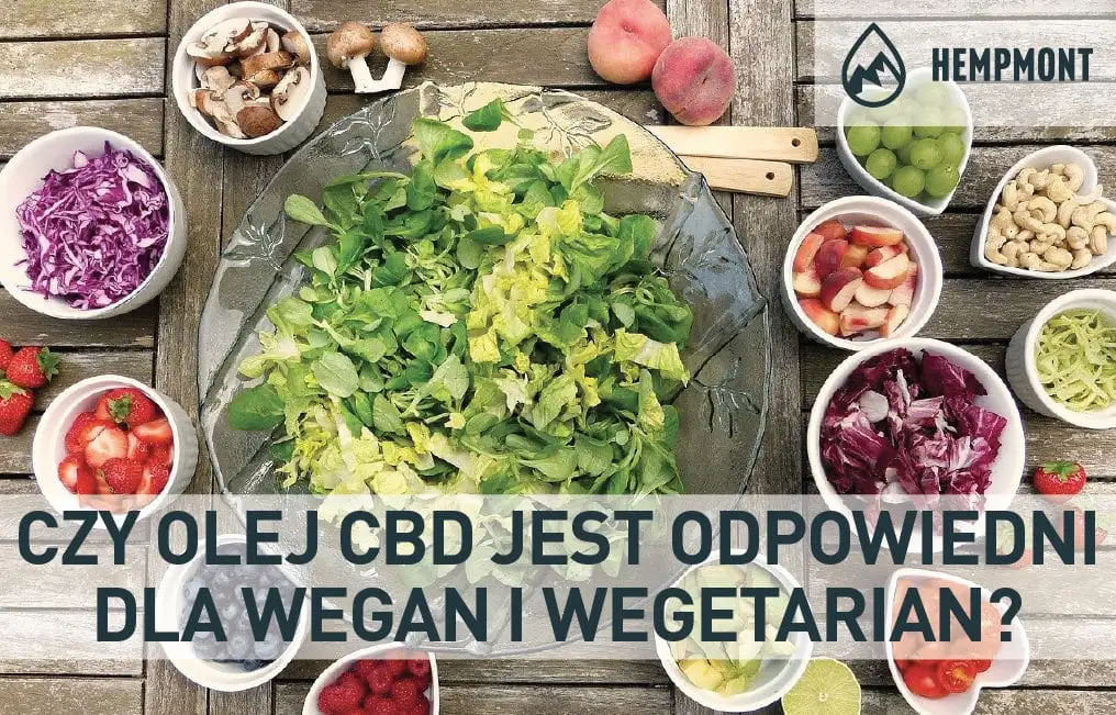 Is CBD oil suitable for vegans and vegetarians