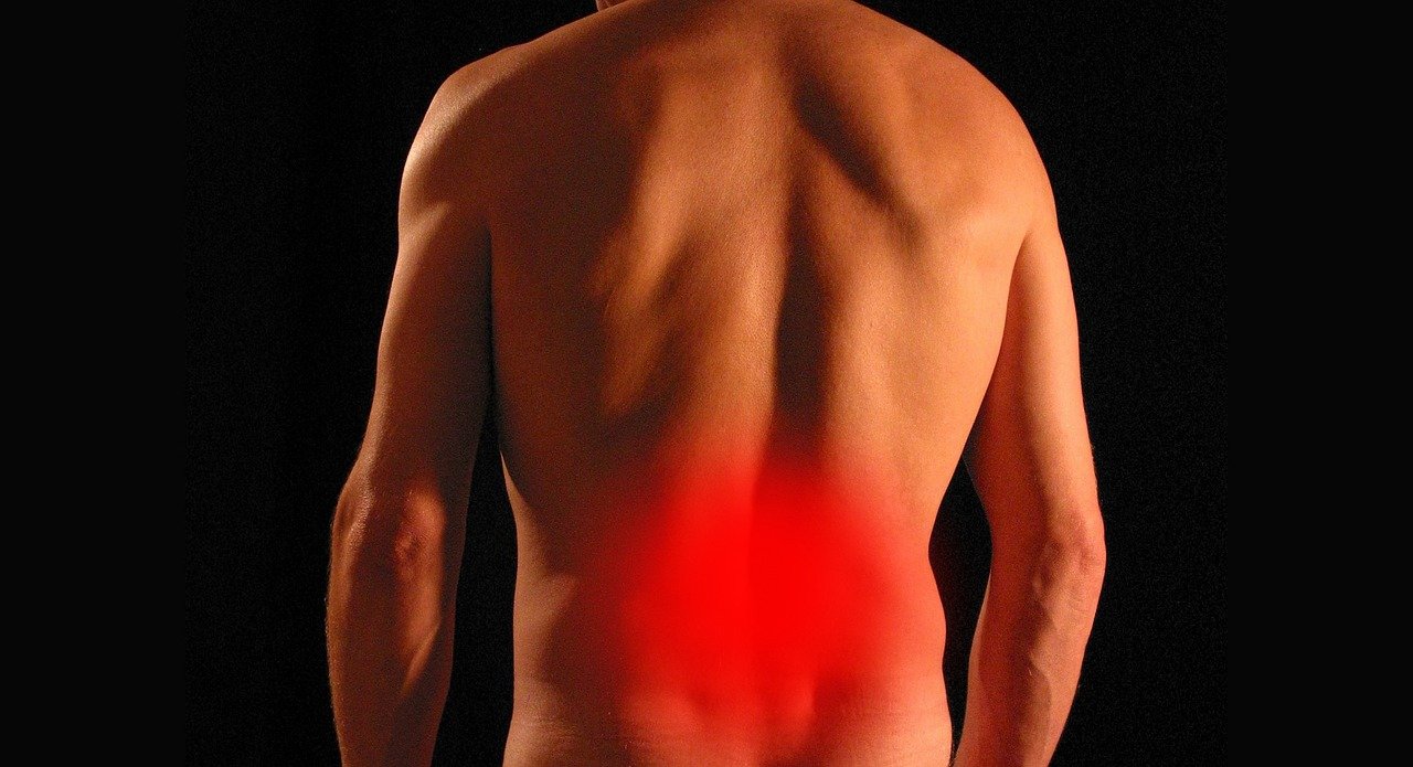 cbd oils for back pain